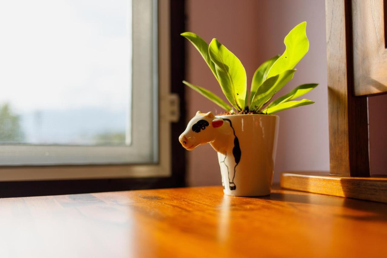 Mesa Guesthouse Chiang Mai Dış mekan fotoğraf